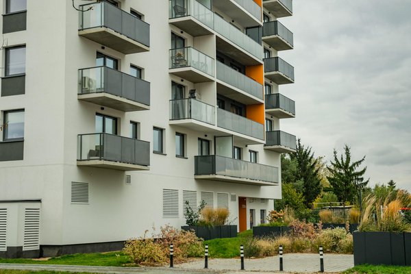 Cafards à paris : solutions efficaces pour un environnement sain