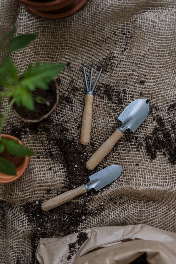 Lidl : cinq outils parkside pour un jardin impeccable !